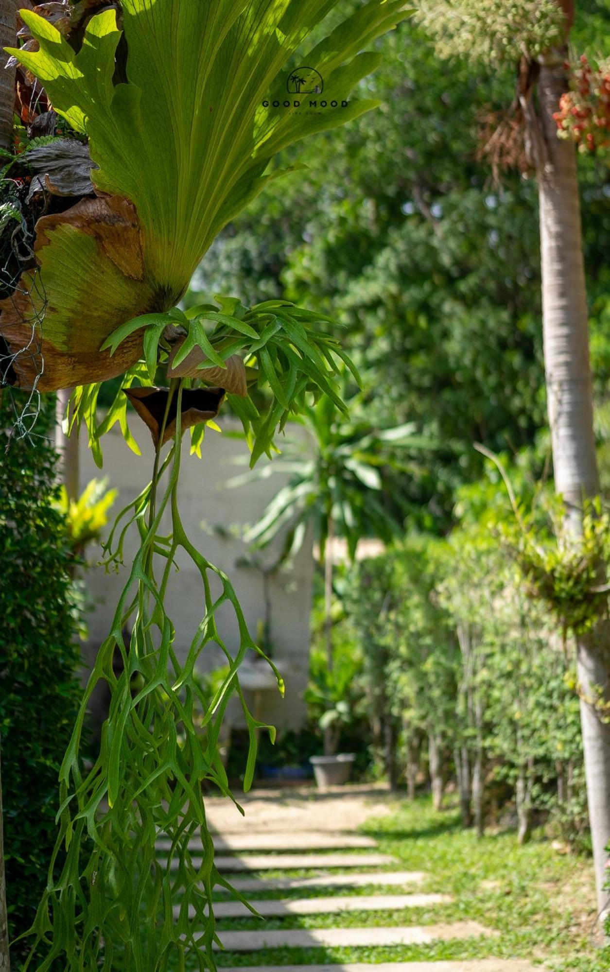 Good Mood Resort Koh Lipe Exterior foto